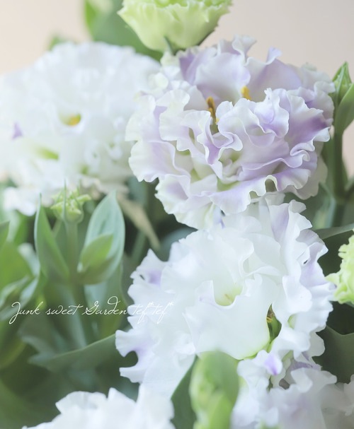 Ȭ�ź餭�ȥ륳�����祦 �ؤ֤ɤ��ߥ륯��
