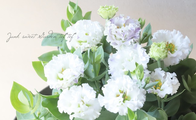 Ȭ�ź餭�ȥ륳�����祦 �ؤ֤ɤ��ߥ륯��