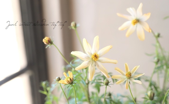 祳졼ȥ⥹֤Ȥܡ椭