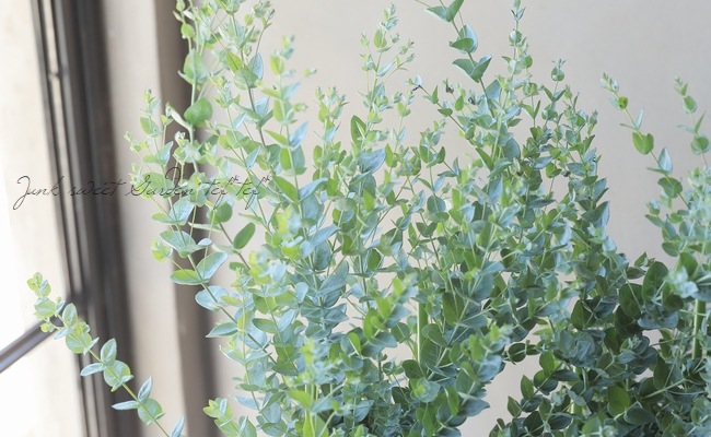 ���ե桼���ꡡ�إࡼ��饰�����