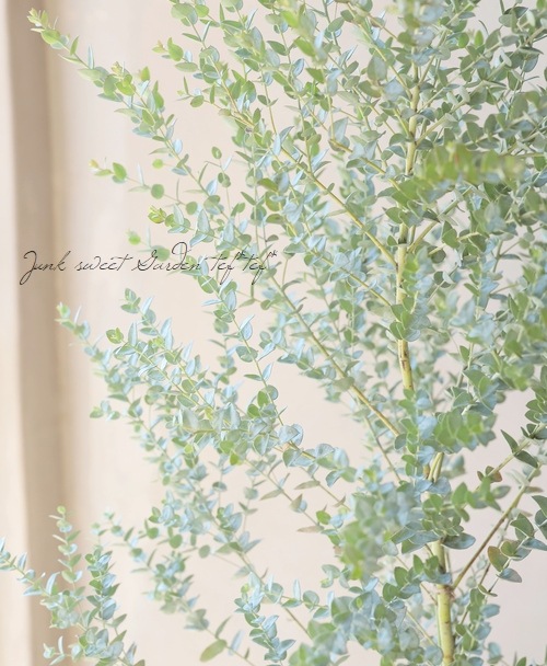 ���ե桼���ꡡ�إࡼ��饰�����