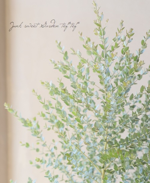 ���ե桼���ꡡ�إࡼ��饰�����