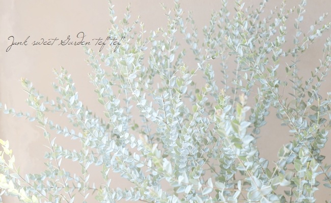 ���ե桼���ꡡ�إࡼ��饰�����