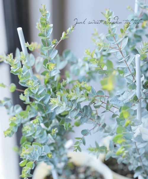 ���ե桼���ꡡ�إࡼ��饰�����