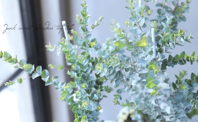 ���ե桼���ꡡ�إࡼ��饰�����