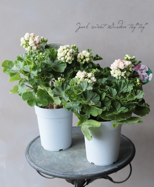 ����˥��ࡡ�إ��åץ�֥��å��ࡦ�������Хåȡ�