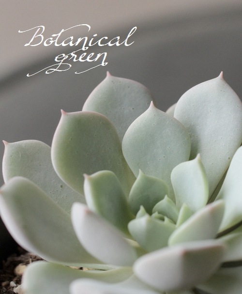 ��¿����ʪ�ۡ��إ����١������٥ꥢ°