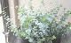 �桼���ꡡ�إ٥��ӡ��֥롼�١�