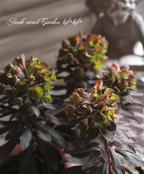 ���Х桼�ե���ӥ����إ֥�å��С��ɡ�