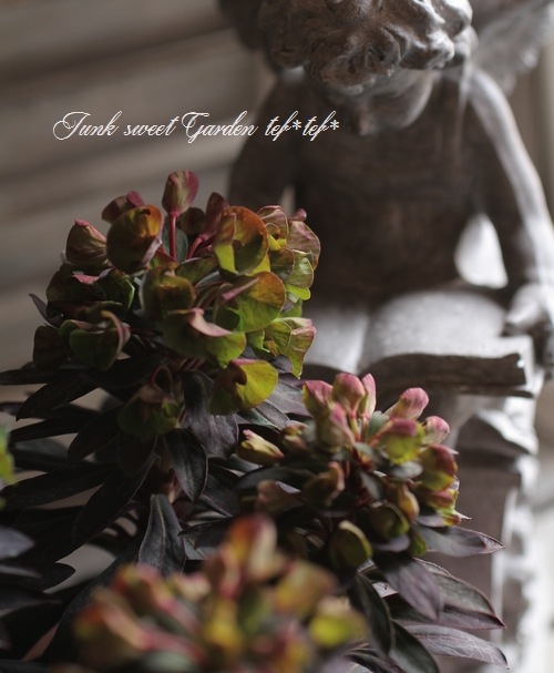 ���Х桼�ե���ӥ����إ֥�å��С��ɡ�