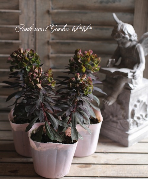 ���Х桼�ե���ӥ����إ֥�å��С��ɡ�