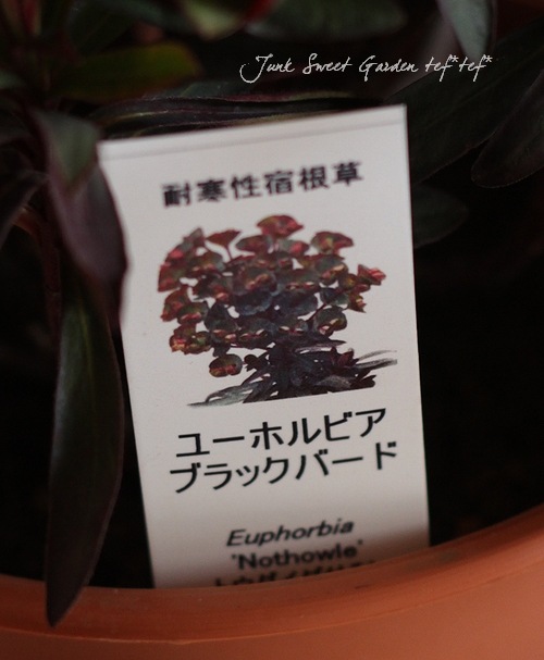 ���Х桼�ե���ӥ����إ֥�å��С��ɡ�