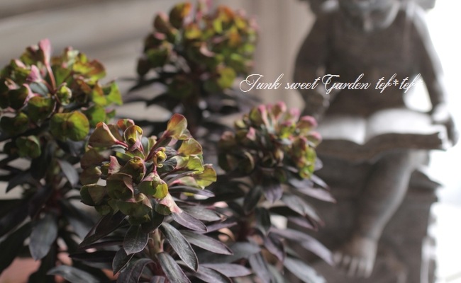 ���Х桼�ե���ӥ����إ֥�å��С��ɡ�