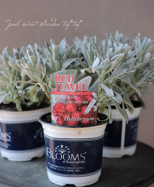 ʽɺ إꥯꥵ إåɥ奨