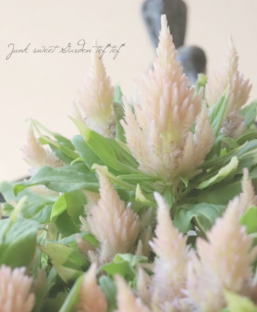 �˾��إ������� �إ����� �١������¿γ�����������ȥ�)
