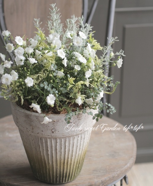 tef*tef*�󤻿��� 2017 * no.19 *���إ���ѥ˥���