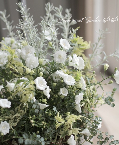 tef*tef*�󤻿��� 2017 * no.19 *���إ���ѥ˥���