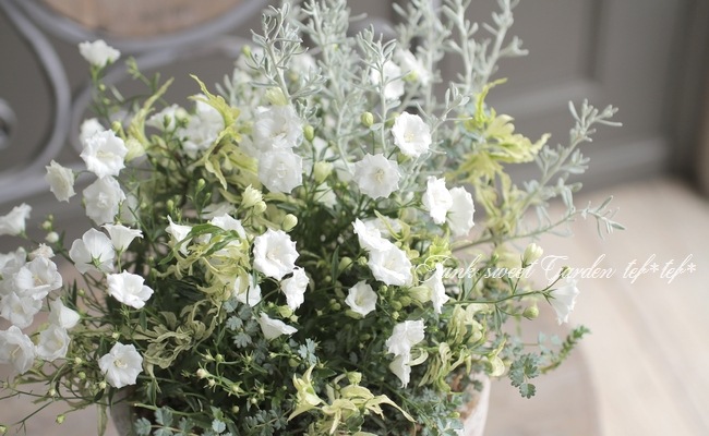 tef*tef*�󤻿��� 2017 * no.19 *���إ���ѥ˥���