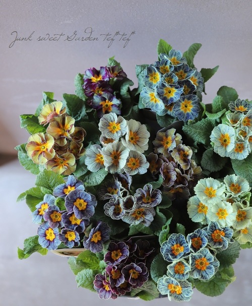 �ھ�����ݥ��ꥸ�ʥ�� �ץ��顡�إ���ƥ������ޥꥢ������� ��A��