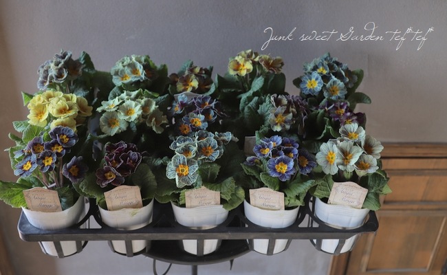 �ھ�����ݥ��ꥸ�ʥ�� �ץ��顡�إ���ƥ������ޥꥢ������� ��A��