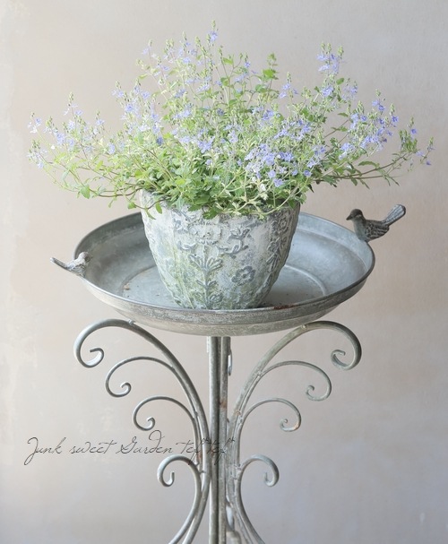 ٥˥ إߥåե֥롼ȡ١