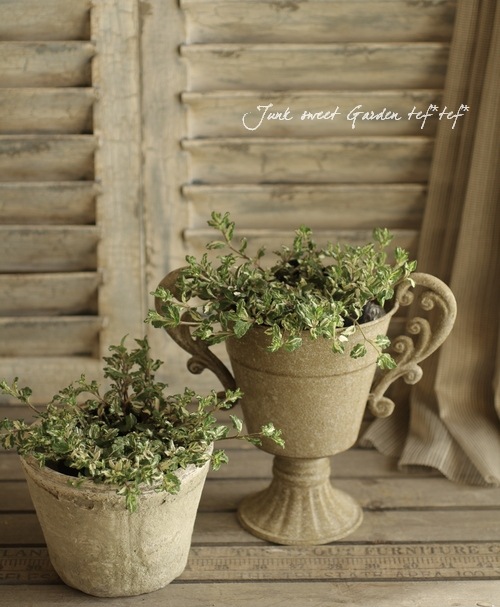 ٥˥ إߥåե֥롼ȡ١