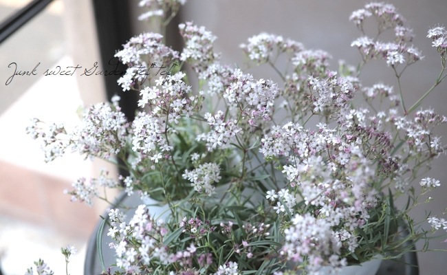 宿根カスミソウ エアリア ピンクシャワー すべての商品 Junk Sweet Garden Tef Tef