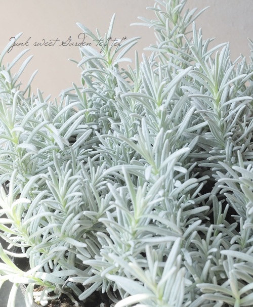 ラベンダー様 ファスナー付バインダー 30穴 ラベンダー｜文具事務用品・推し活