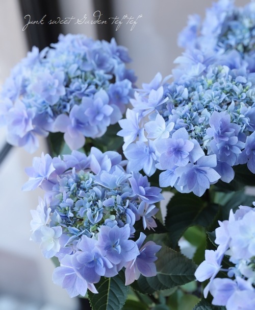 4_000000013292.jpg?1678209903