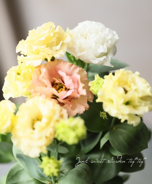 トルコギキョウ 『サブリナオレンジのMIX咲き』 | すべての商品