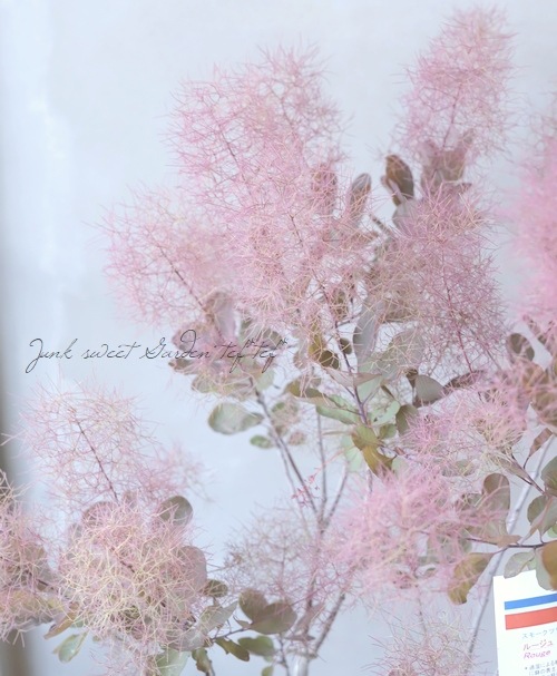 ⡼ĥ꡼إ롼 86
