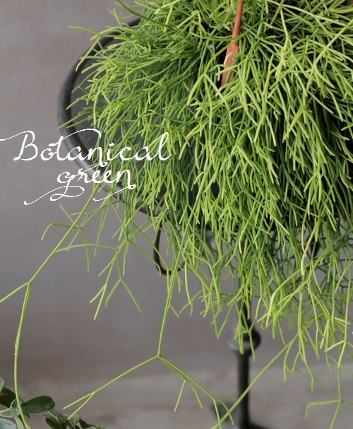 ץꥹإå١ܥƥ󡡥ܥ塼L