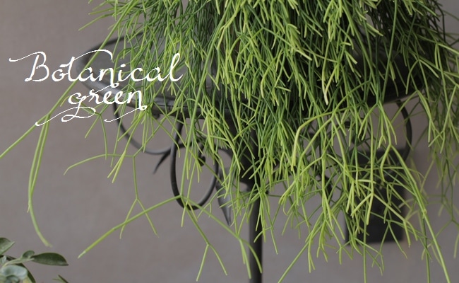 ץꥹإå١ܥƥ󡡥ܥ塼L