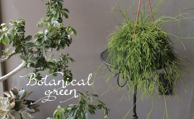 ץꥹإå١ܥƥ󡡥ܥ塼L