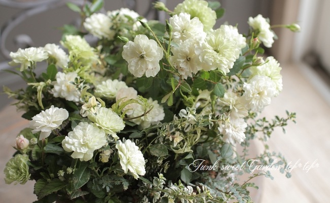 tef*tef*�󤻿��� 2017 * no.20 *���إ��꡼�󥢥�����