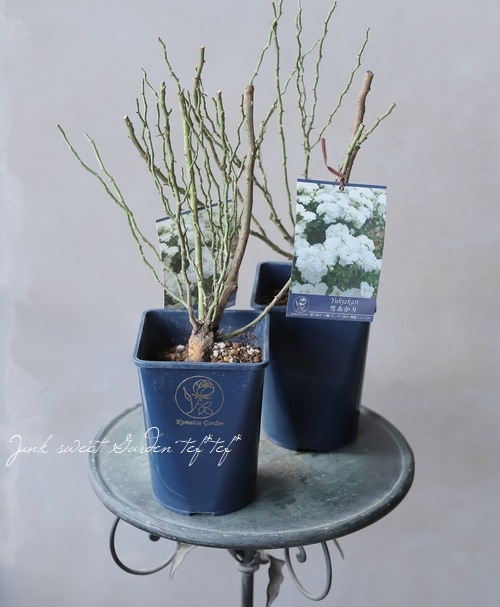 �Ĥ�ߥ˥Х顦���ޥĥ����ǥ󥪥ꥸ�ʥ��ʼ� ���㤢���� -Yukiakari -�� �ڹ񻺥Υ��Х����ڻ��ѡ� ���ɥ������ץ�����