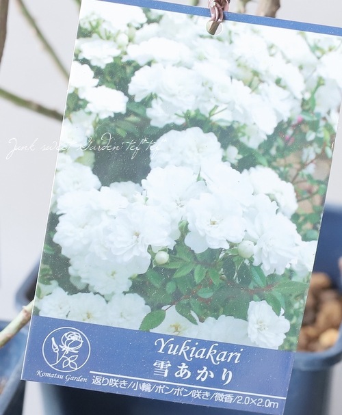 �Ĥ�ߥ˥Х顦���ޥĥ����ǥ󥪥ꥸ�ʥ��ʼ� ���㤢���� -Yukiakari -�� �ڹ񻺥Υ��Х����ڻ��ѡ� ���ɥ������ץ�����