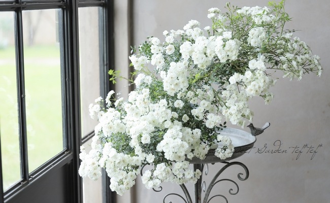 �Ĥ�ߥ˥Х顦���ޥĥ����ǥ󥪥ꥸ�ʥ��ʼ� ���㤢���� -Yukiakari -�� �ڹ񻺥Υ��Х����ڻ��ѡ� ���ɥ������ץ�����