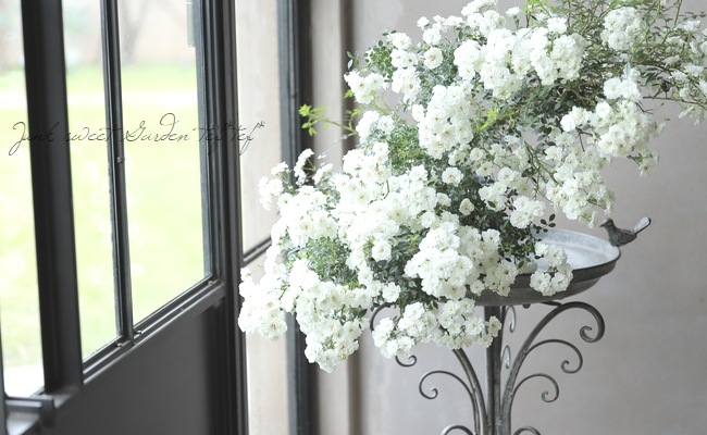 �Ĥ�ߥ˥Х顦���ޥĥ����ǥ󥪥ꥸ�ʥ��ʼ� ���㤢���� -Yukiakari -�� �ڹ񻺥Υ��Х����ڻ��ѡ� ���ɥ������ץ�����