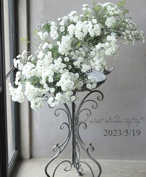 �Ĥ�ߥ˥Х顦���ޥĥ����ǥ󥪥ꥸ�ʥ��ʼ� ���㤢���� -Yukiakari -�� �ڹ񻺥Υ��Х����ڻ��ѡ� ���ɥ������ץ�����