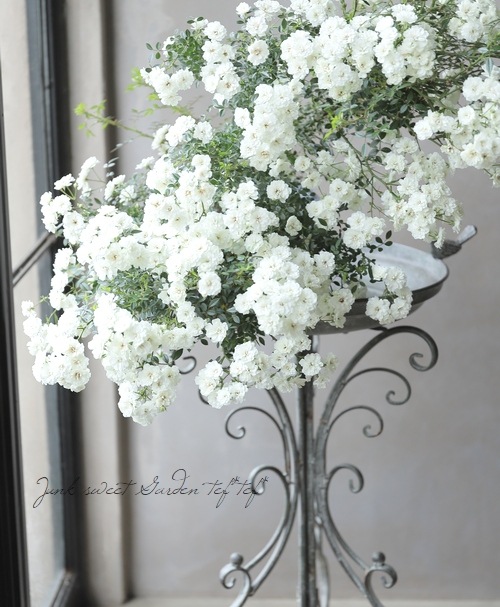 �Ĥ�ߥ˥Х顦���ޥĥ����ǥ󥪥ꥸ�ʥ��ʼ� ���㤢���� -Yukiakari -�� �ڹ񻺥Υ��Х����ڻ��ѡ� ���ɥ������ץ�����