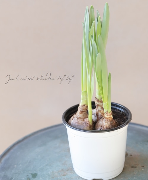 �������󡡡إ롼��åȡ١����å׺餭