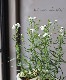 Ȭ�ź餭�����쥢���ؤ椭�Ƥޤ�� ������ݥ��ꥸ�ʥ�