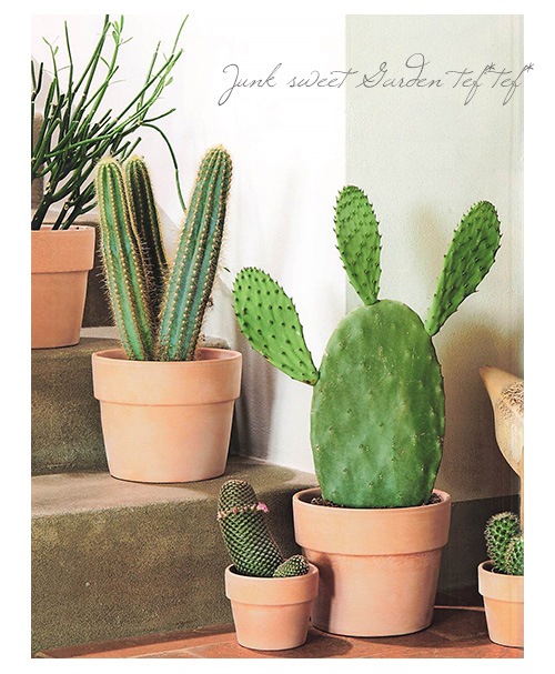 ڻߡۥץ졼ץ󥿡ץM