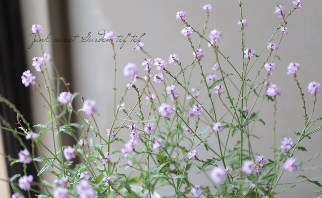 �ɺ���Ƽ�եС��٥ʡ��إХ�ץȥ�١�