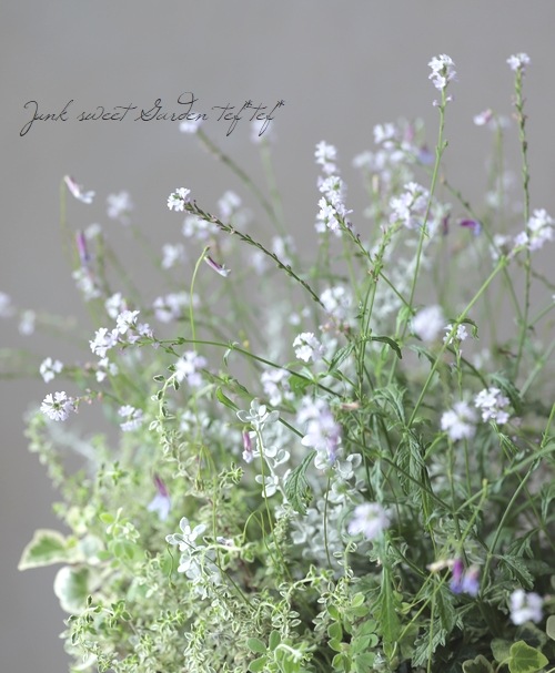 �ɺ���Ƽ�եС��٥ʡ��إХ�ץȥ�١�