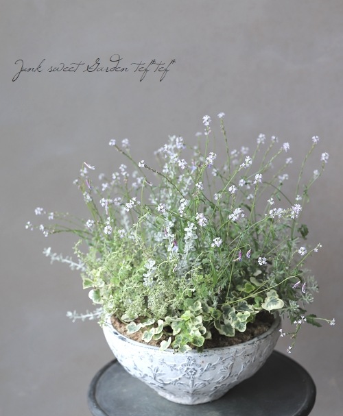 �ɺ���Ƽ�եС��٥ʡ��إХ�ץȥ�١�