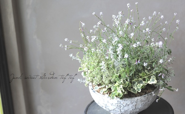 �ɺ���Ƽ�եС��٥ʡ��إХ�ץȥ�١�