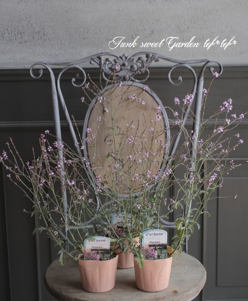 �ɺ���Ƽ�եС��٥ʡ��إХ�ץȥ�١�