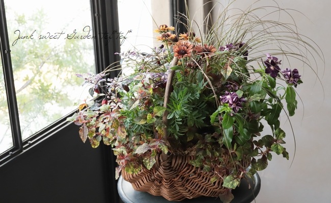 -TEFNIQUE-�󤻿��� 2019 * no.40 *���زƤλפ��ХХ����åȡ�